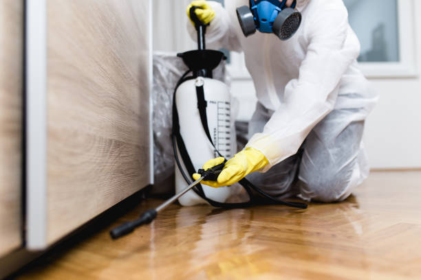 Best Affordable Pest Control Services  in Signal Hill, CA