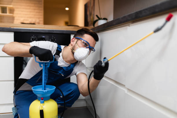 Best Wasp Removal Services  in Signal Hill, CA