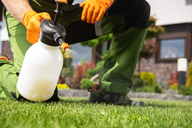  Signal Hill, CA Pest Control Pros