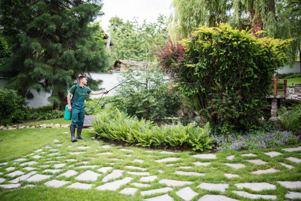 Best Pest Inspection Near Me  in Signal Hill, CA