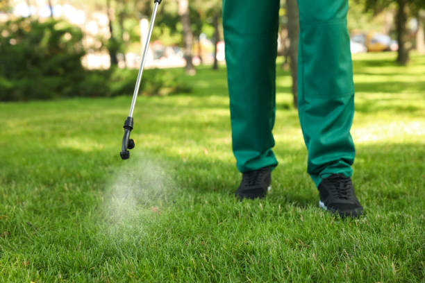 Best Pest Inspection Near Me  in Signal Hill, CA