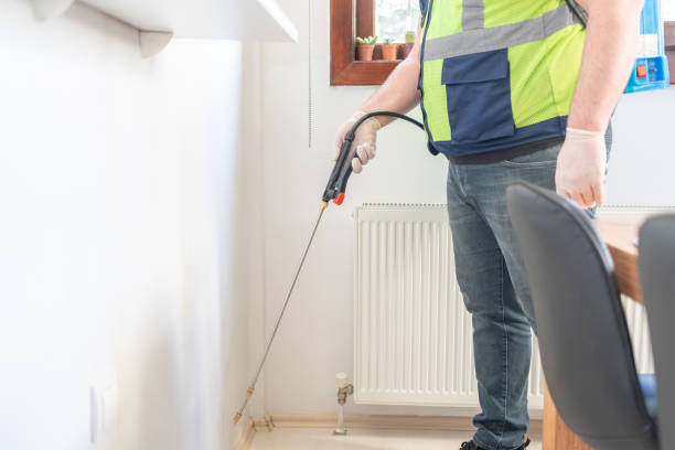 Best Ant Control Services  in Signal Hill, CA